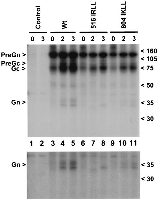 FIG. 5.