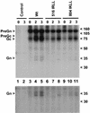 FIG. 5.