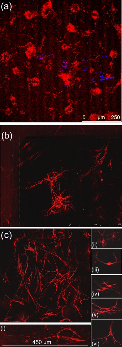 Figure 18