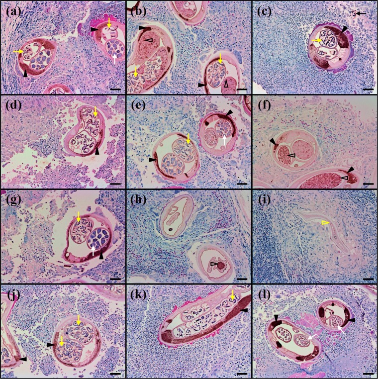 FIG 3