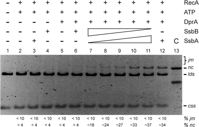 FIGURE 7.