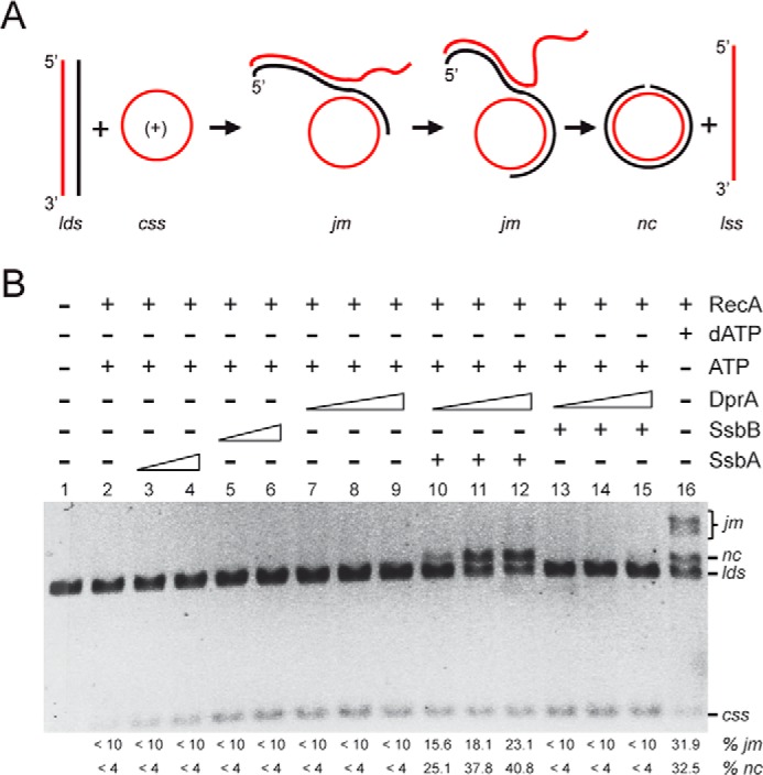 FIGURE 6.