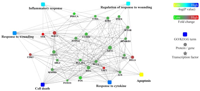 Figure 6