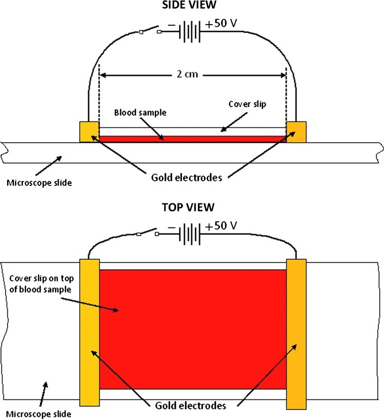 FIG. 2.