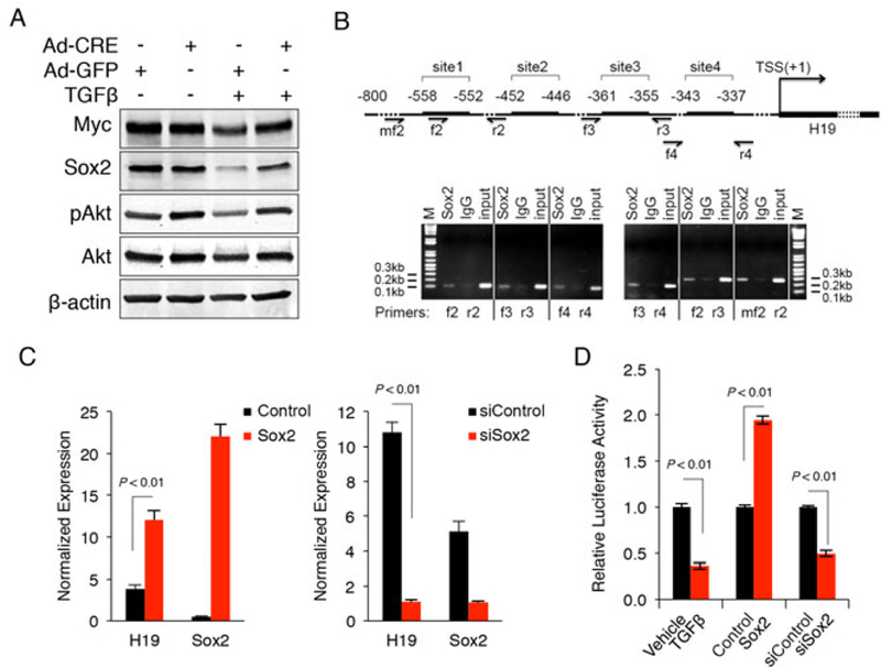 Fig 6.