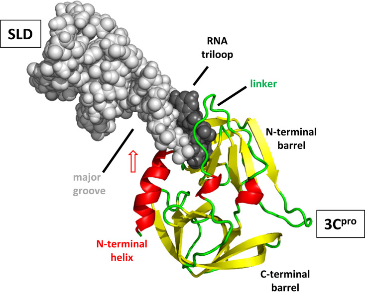 FIG 11