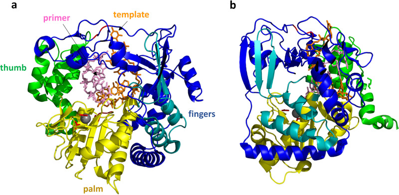 FIG 12