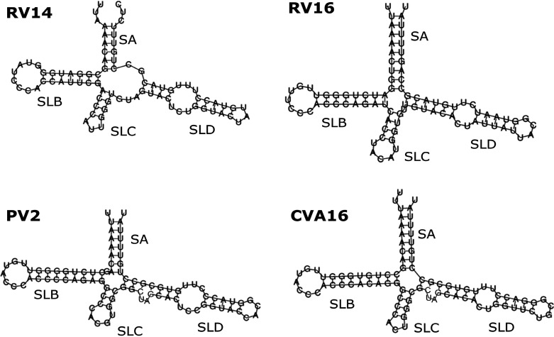 FIG 2