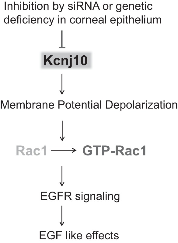 Fig. 9.