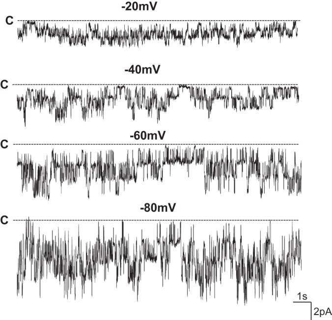 Fig. 3.