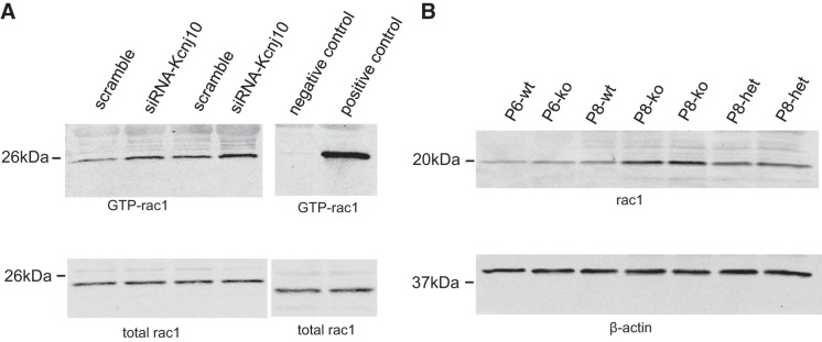 Fig. 8.