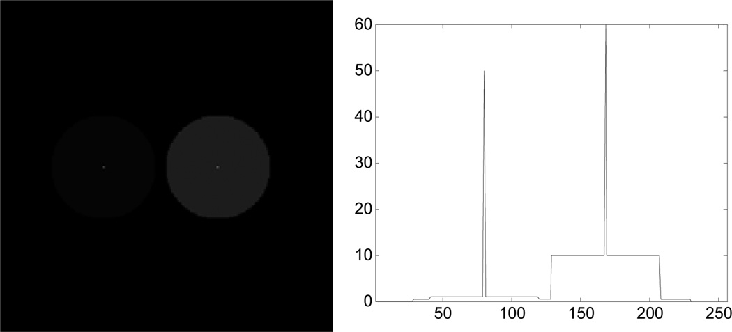 Fig. 10