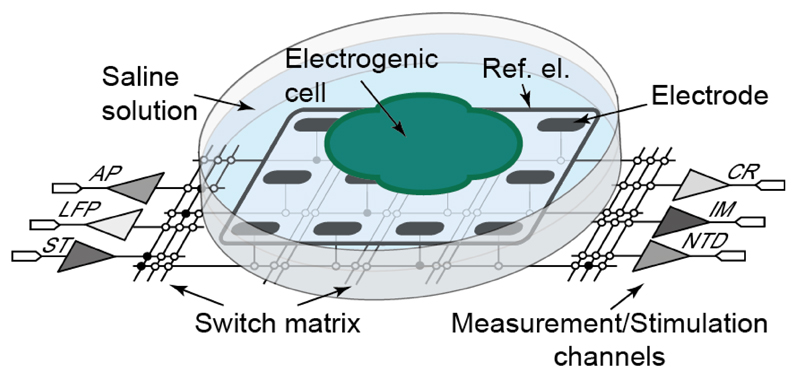 Fig. 1