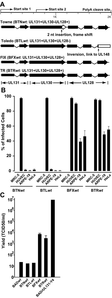 FIG.6.