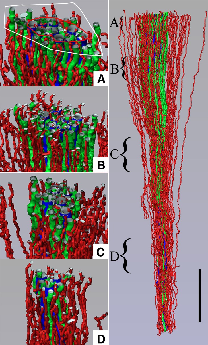 Figure 5.