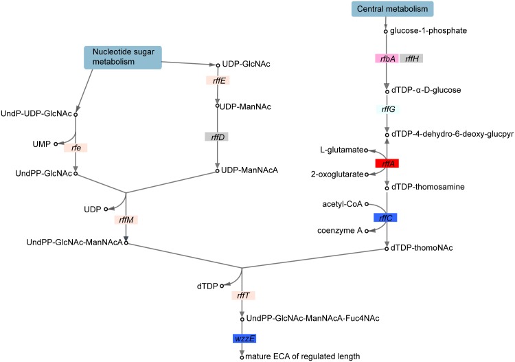 Fig 4