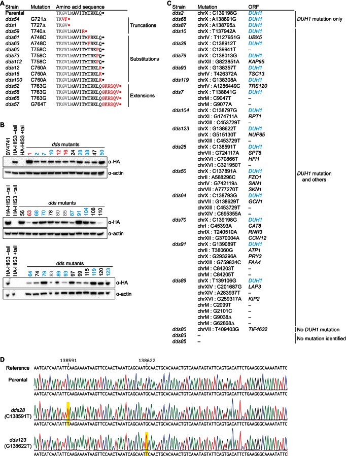 Figure 4—figure supplement 1.