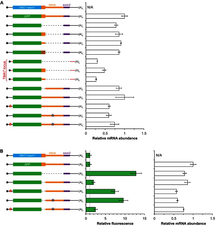 Figure 3—figure supplement 1.