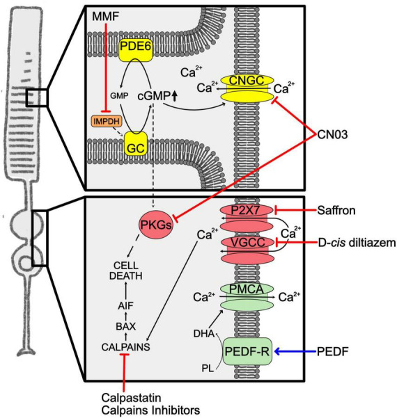 FIGURE 3