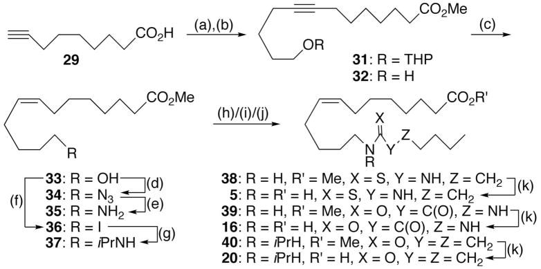 Scheme 1