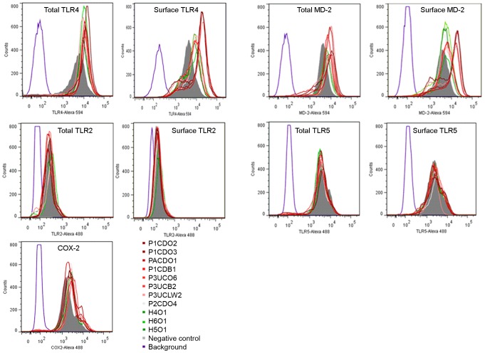 Figure 6