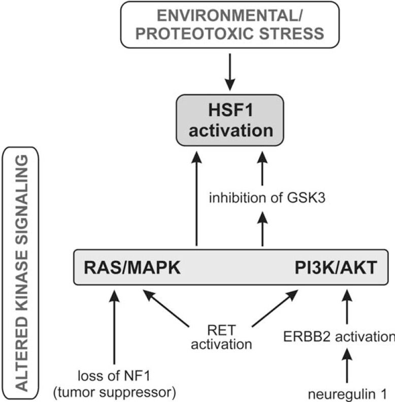 Fig. (2)