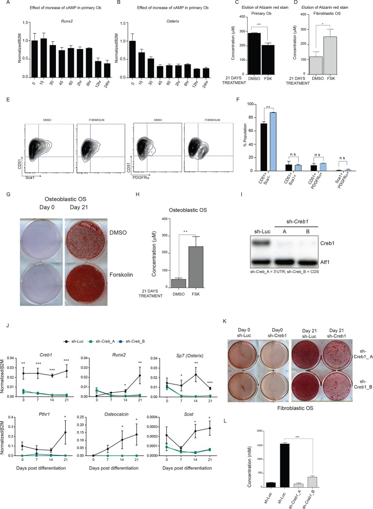 Figure 4—figure supplement 1.