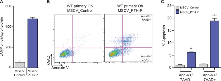 Figure 2—figure supplement 2.