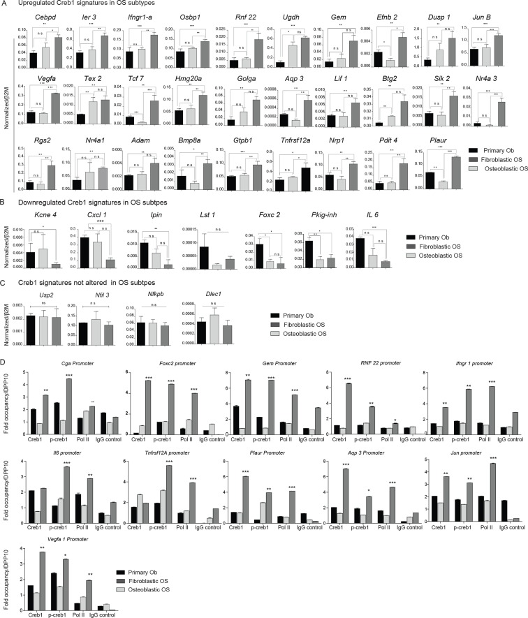 Figure 6—figure supplement 1.