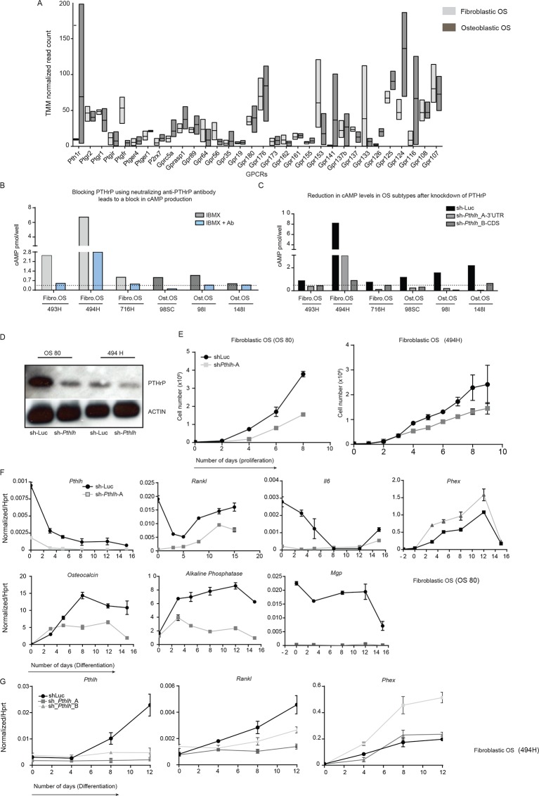 Figure 2—figure supplement 1.