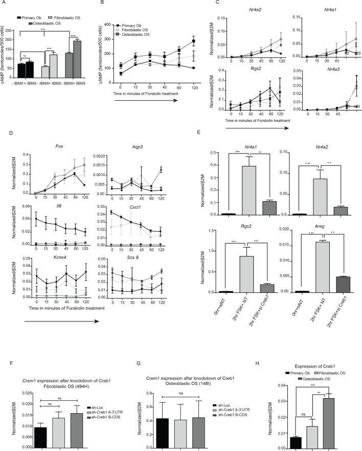 Figure 3—figure supplement 1.