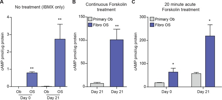 Figure 4—figure supplement 2.