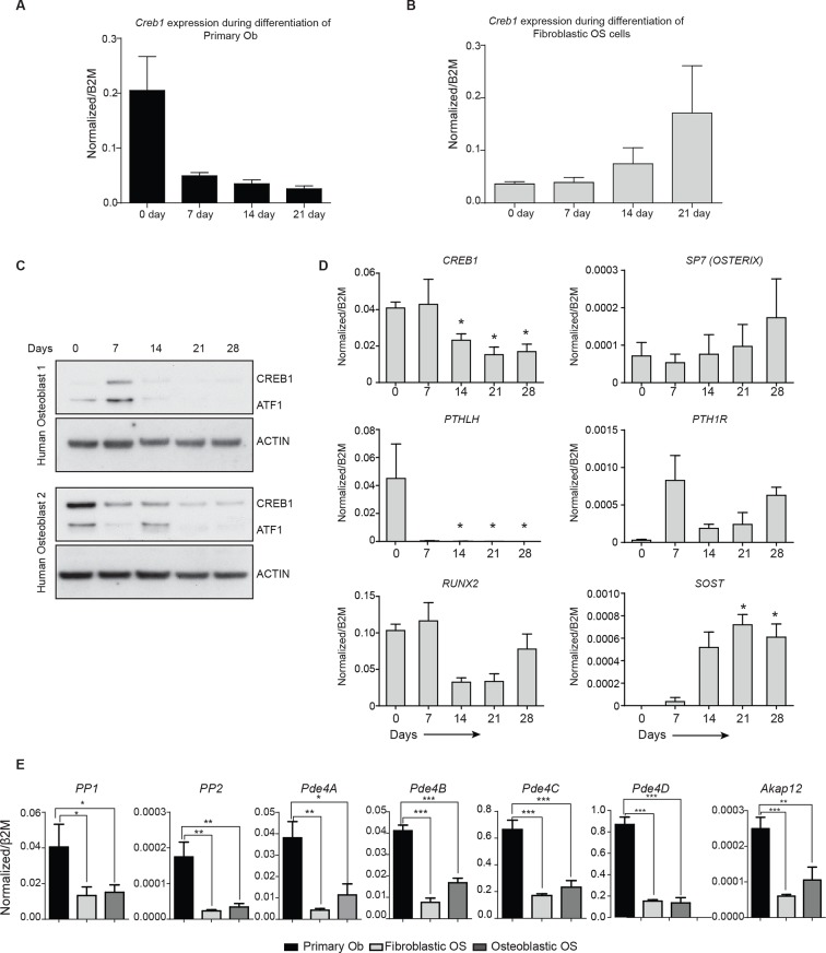 Figure 3—figure supplement 2.