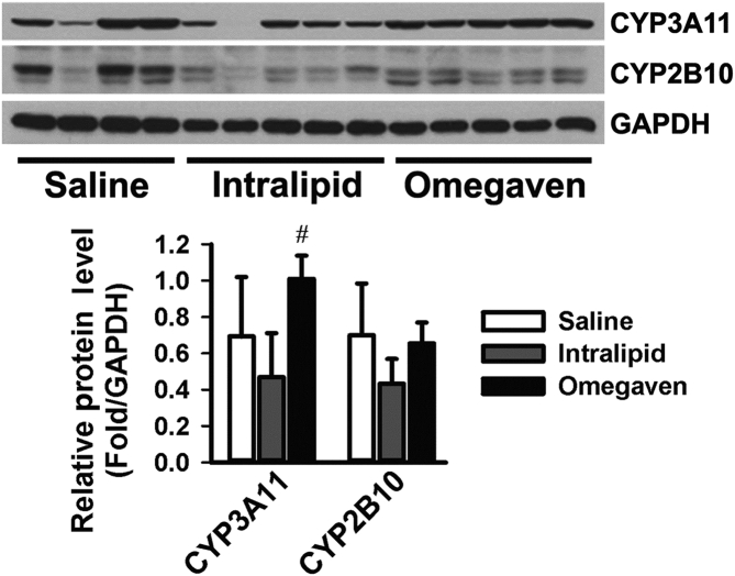 Figure 5