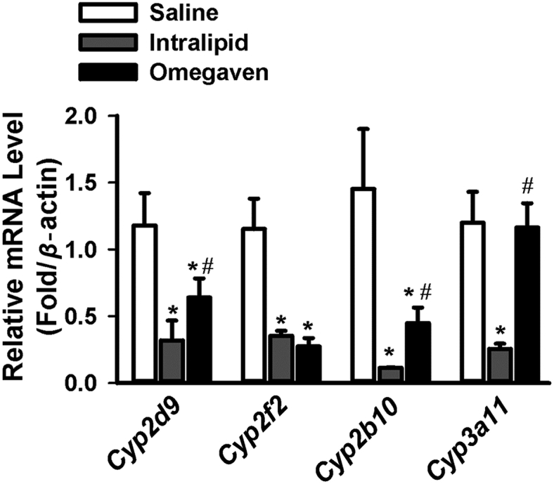 Figure 4