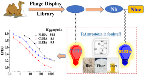 graphic file with name nihms-1653411-f0001.jpg