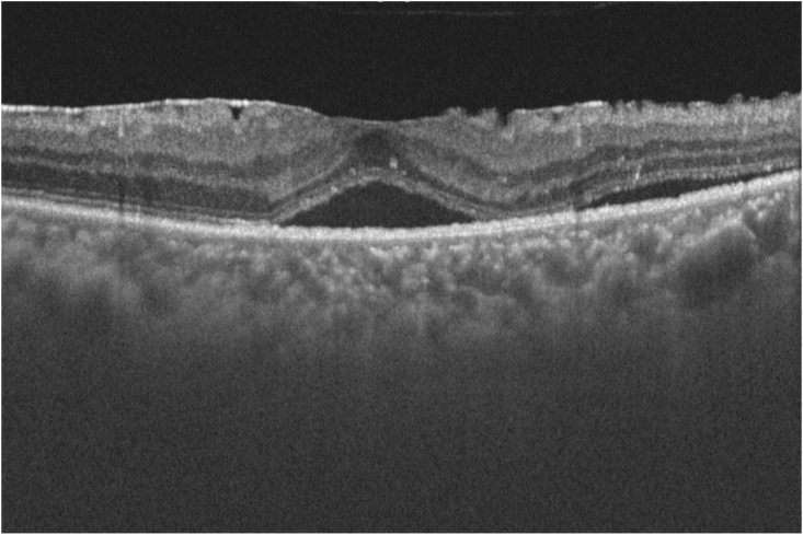 Fig. 6