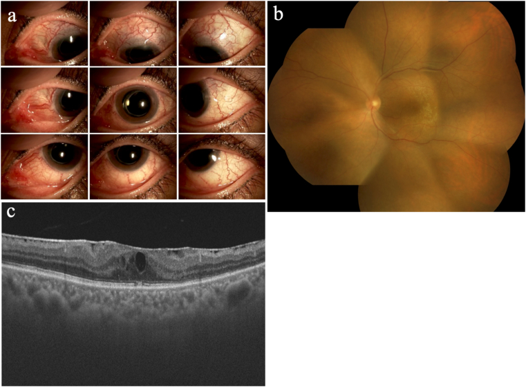 Fig. 7