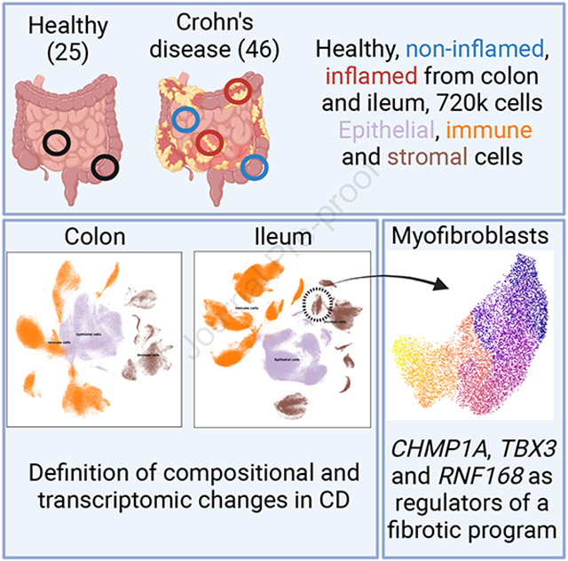 graphic file with name nihms-1866094-f0001.jpg