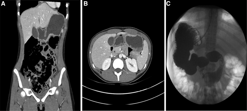 FIGURE 1.