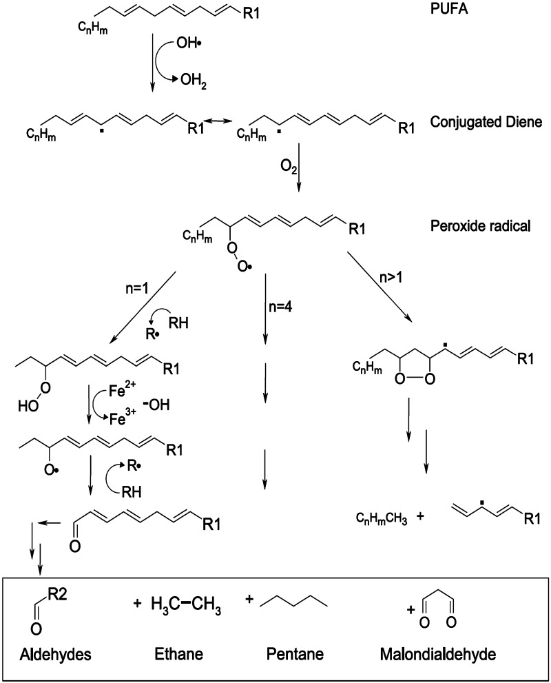 Fig. 2