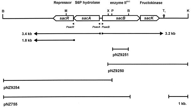 FIG. 1