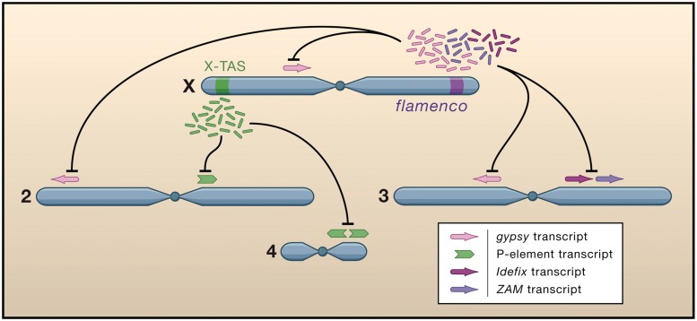 Figure 1: