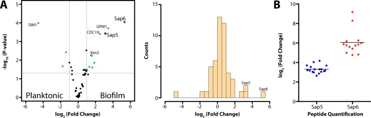 FIG 2 