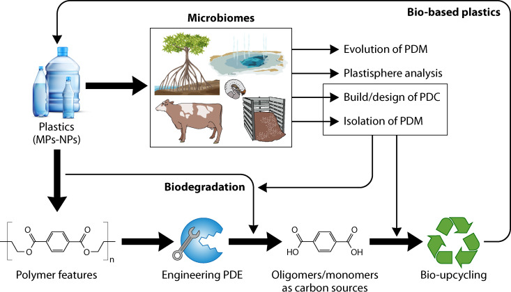 FIG 2