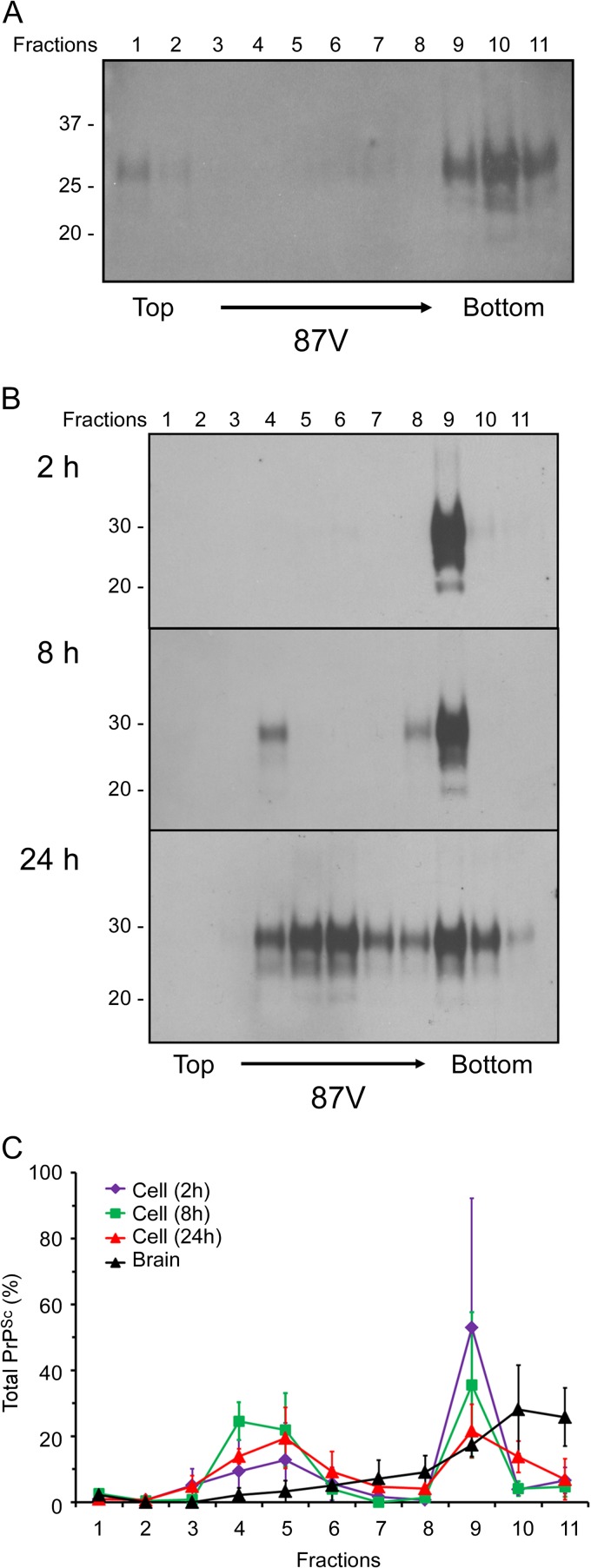 Fig 5