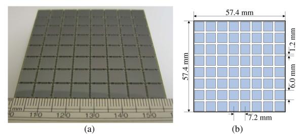 Fig. 1