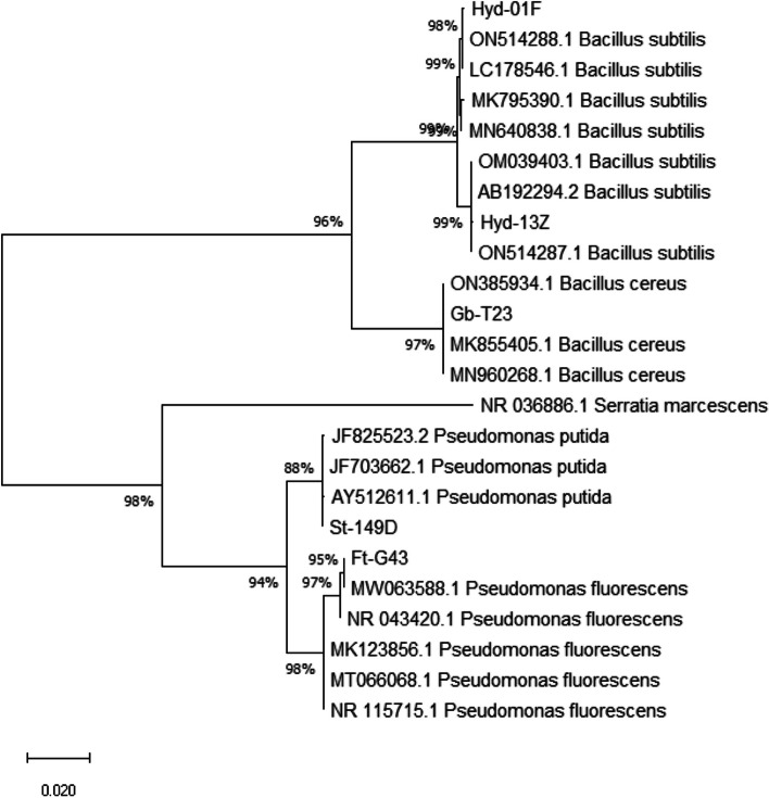Fig. 2