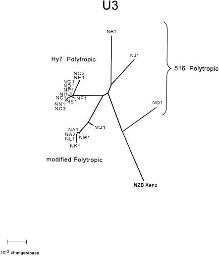 FIG. 7.