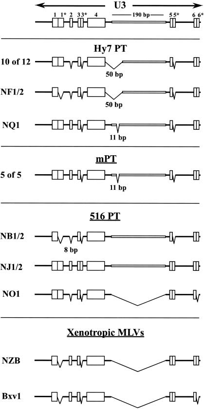 FIG. 6.